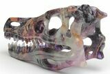 Colorful, Carved Fluorite Dinosaur Skull #218480-6